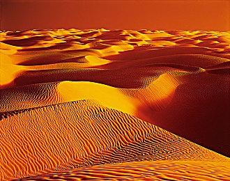 《超级忍 反攻的斩击》demo试玩PV发布 现已正式上线！