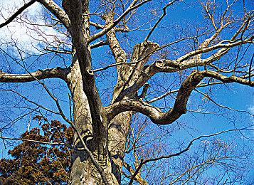 《武林立志传》Steam页面上线 9月14日发售